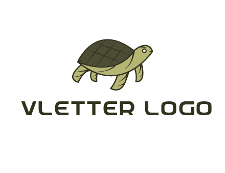 abstract turtle