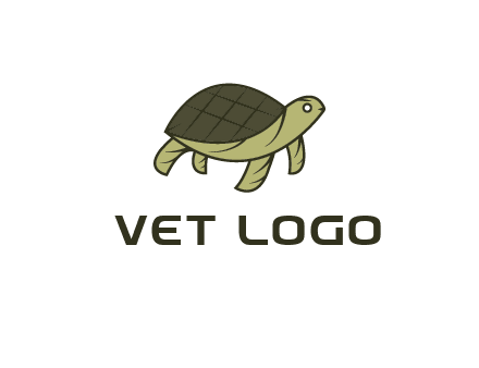 abstract turtle