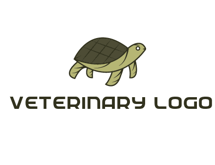 abstract turtle