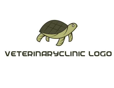 abstract turtle