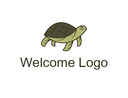 abstract turtle