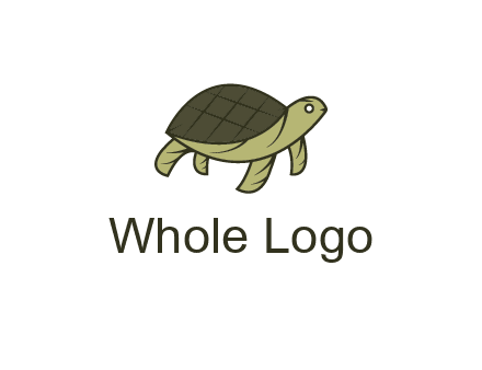 abstract turtle