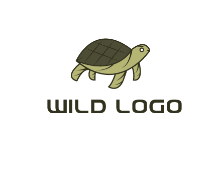 abstract turtle