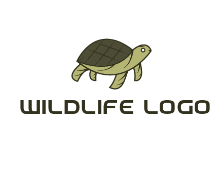 abstract turtle