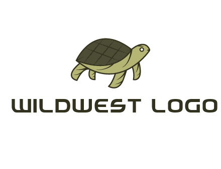 abstract turtle