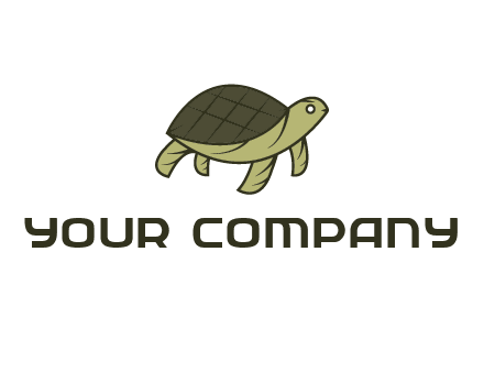 abstract turtle