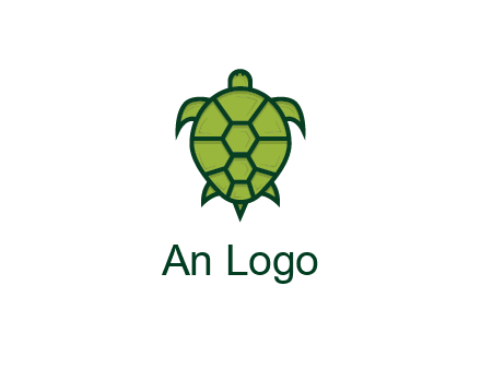 top view of turtle