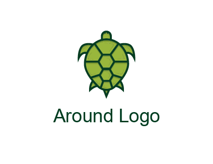 top view of turtle