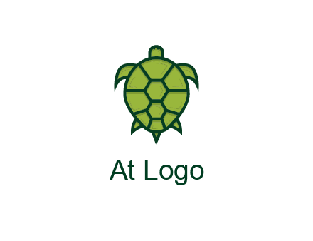 top view of turtle