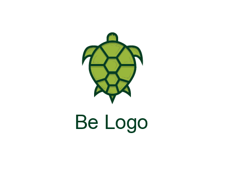 top view of turtle