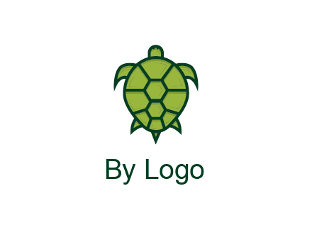 top view of turtle