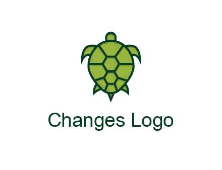 top view of turtle