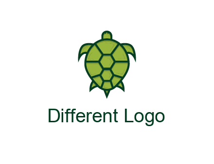 top view of turtle