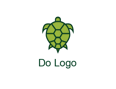 top view of turtle