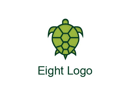 top view of turtle