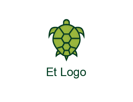 top view of turtle