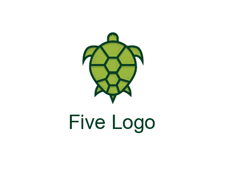 top view of turtle