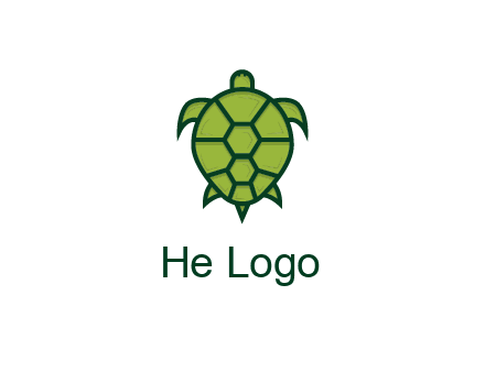 top view of turtle