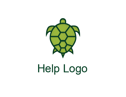 top view of turtle