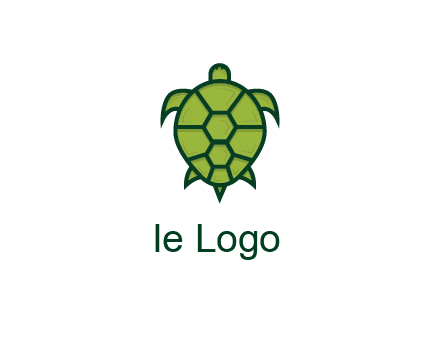 top view of turtle