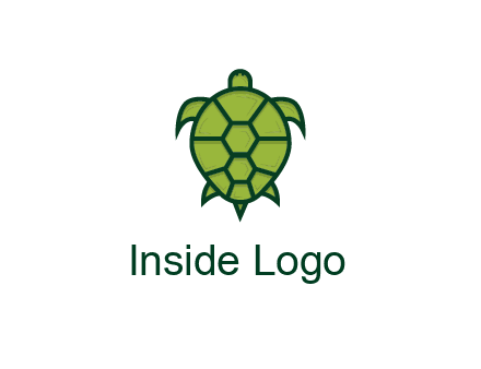 top view of turtle