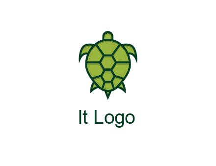top view of turtle