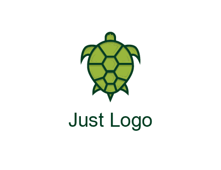 top view of turtle