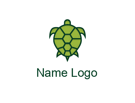 top view of turtle