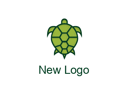 top view of turtle