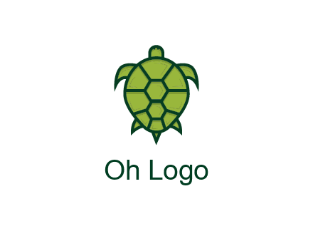 top view of turtle