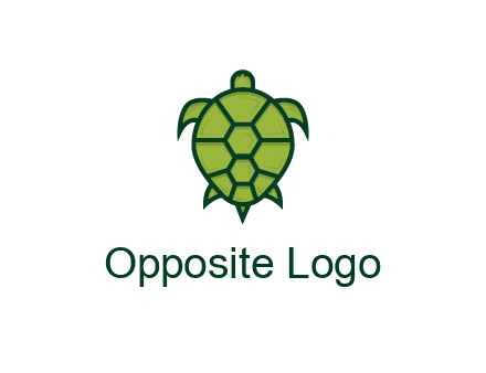 top view of turtle