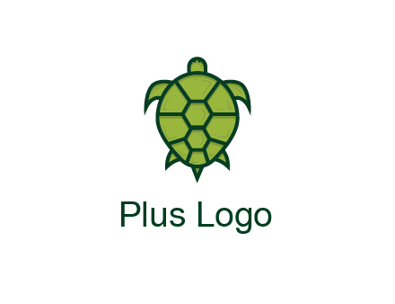 top view of turtle