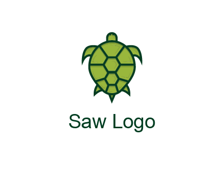 top view of turtle