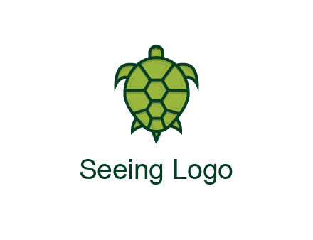 top view of turtle