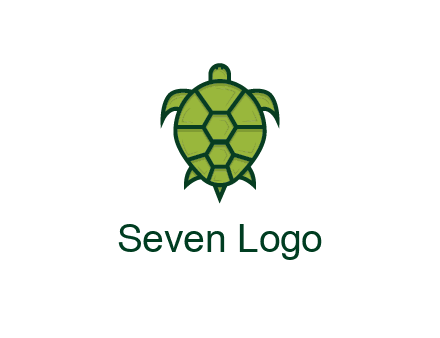 top view of turtle