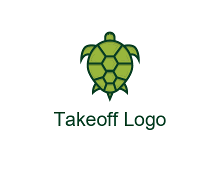 top view of turtle