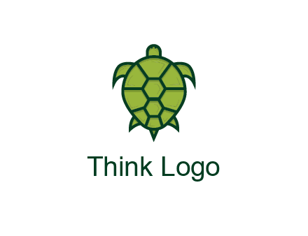 top view of turtle