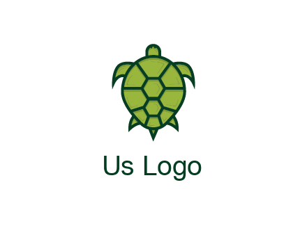 top view of turtle