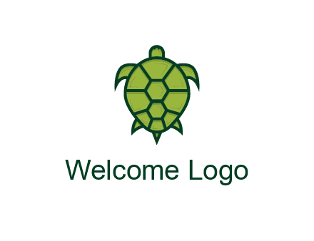 top view of turtle