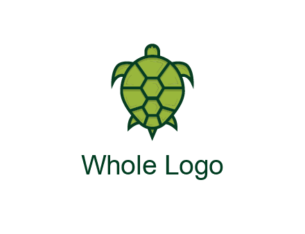 top view of turtle