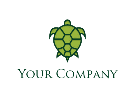 top view of turtle
