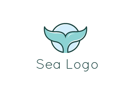 circle behind whale tail