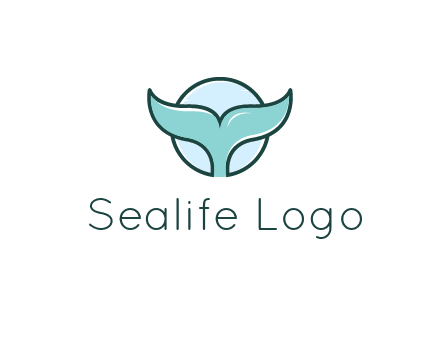 circle behind whale tail