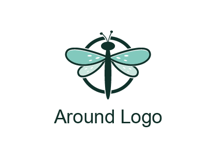 circle behind dragonfly