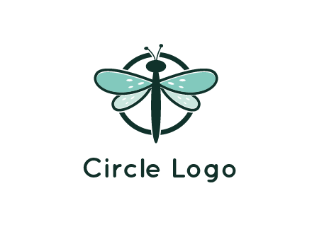 circle behind dragonfly