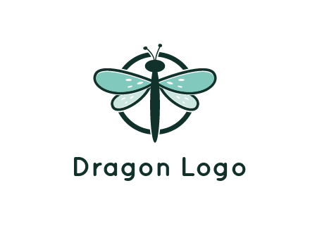 circle behind dragonfly