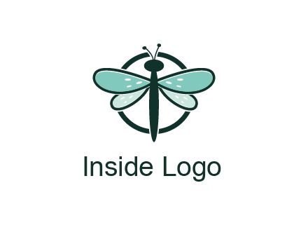 circle behind dragonfly