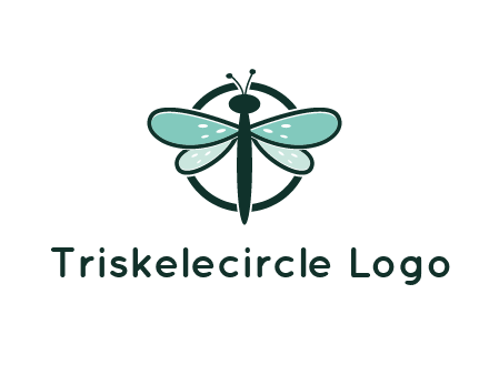 circle behind dragonfly
