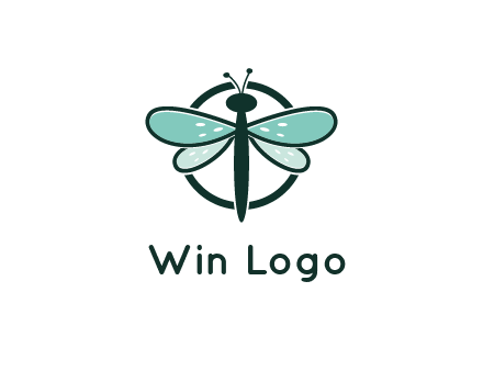 circle behind dragonfly