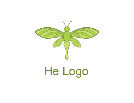 green dragonfly